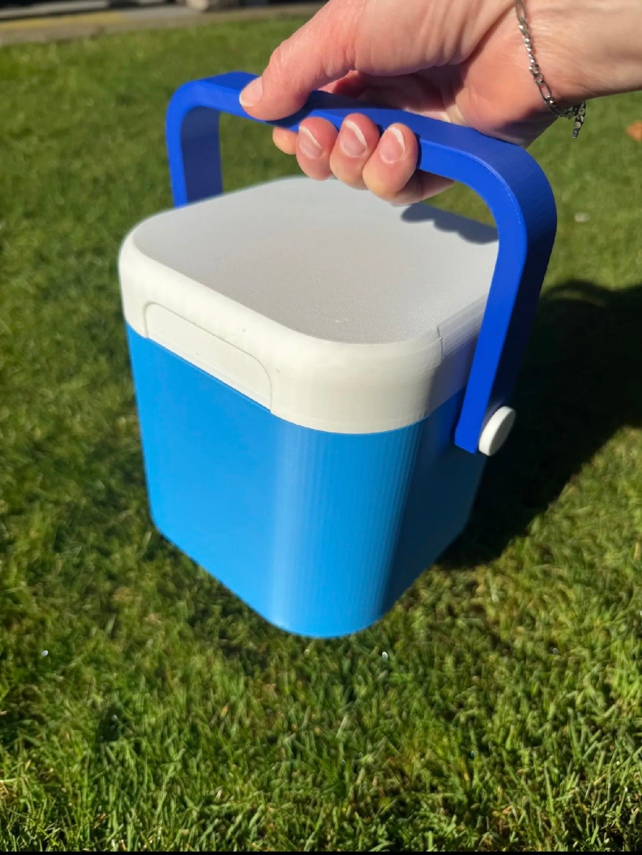 Mini Cooler for 4 Cans